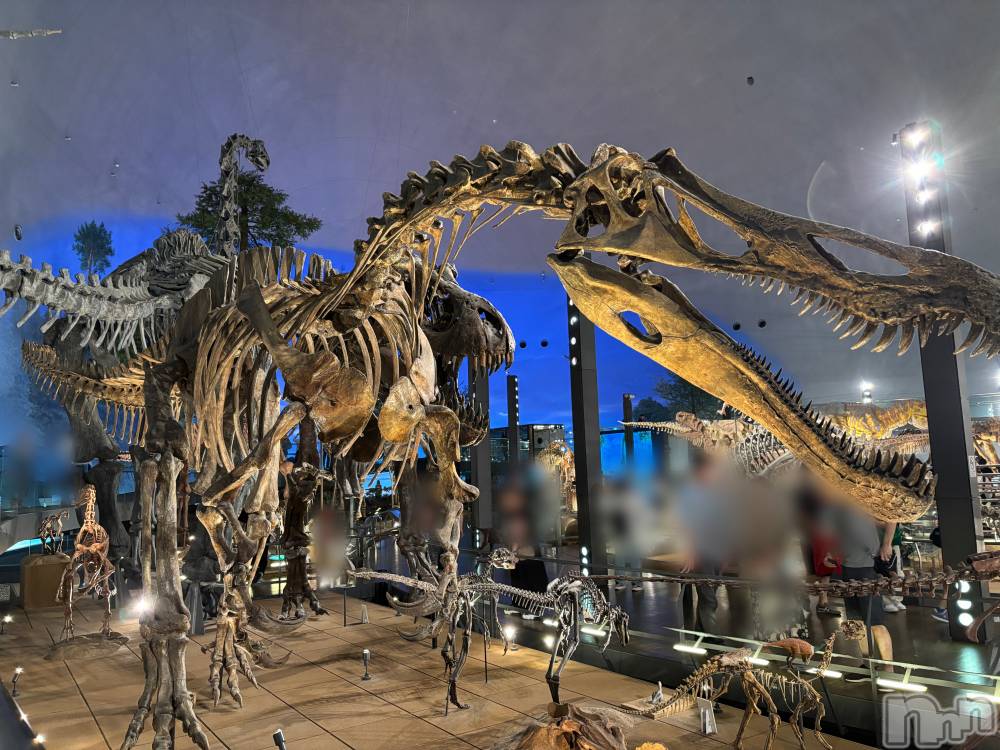 ܱХ顦֥ ץ ( ץ ޥĥ) դ椫731̥֥🦕