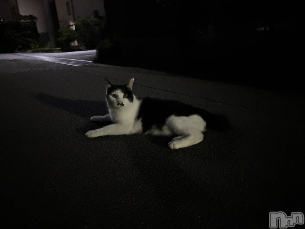 ܱХ顦֥ ץ ( ץ ޥĥ) դ椫926̥֥🐈