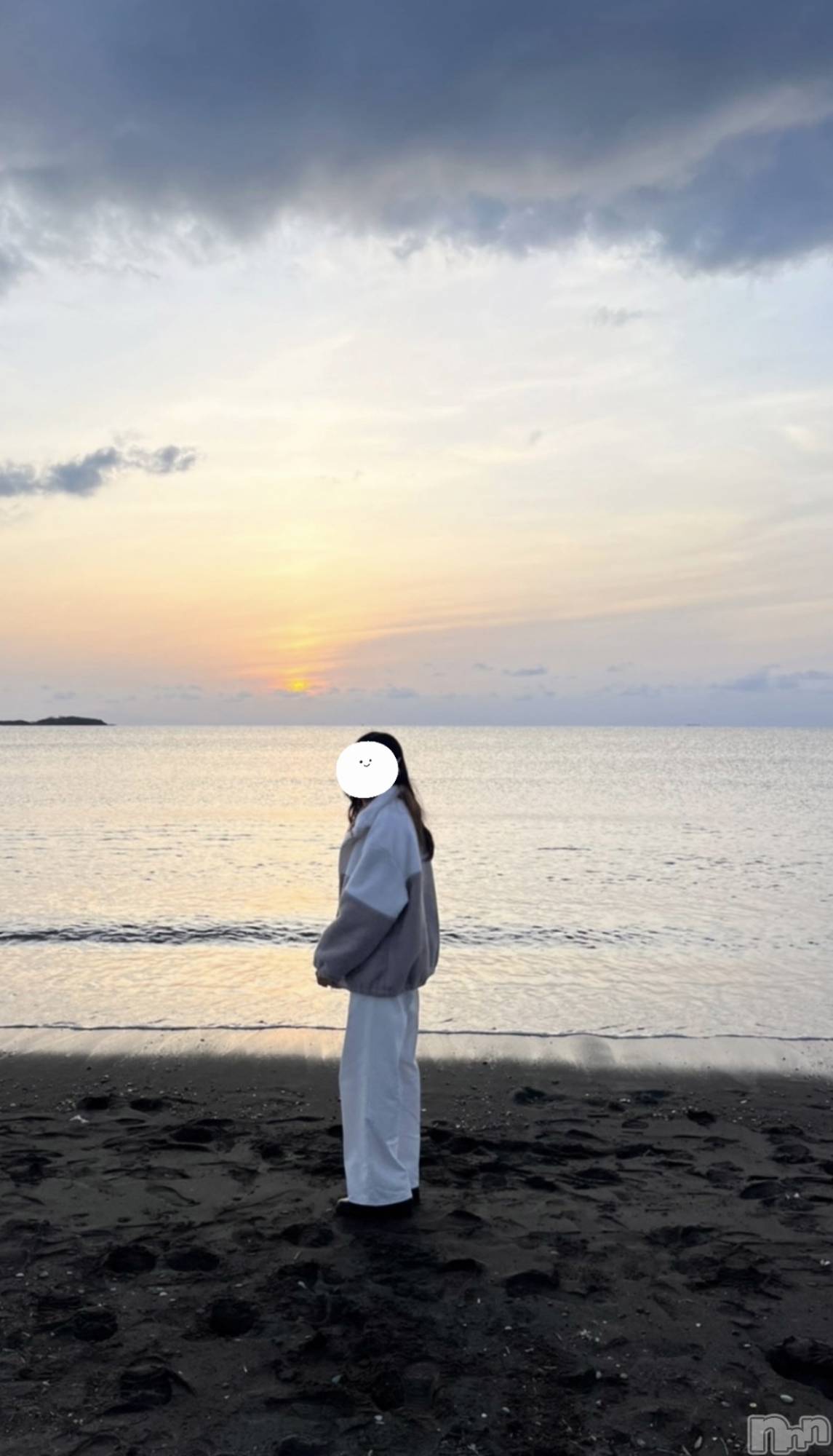 ܱХ顦֥ ץ ( ץ ޥĥ) 2025ǯ317̥֥🌊
