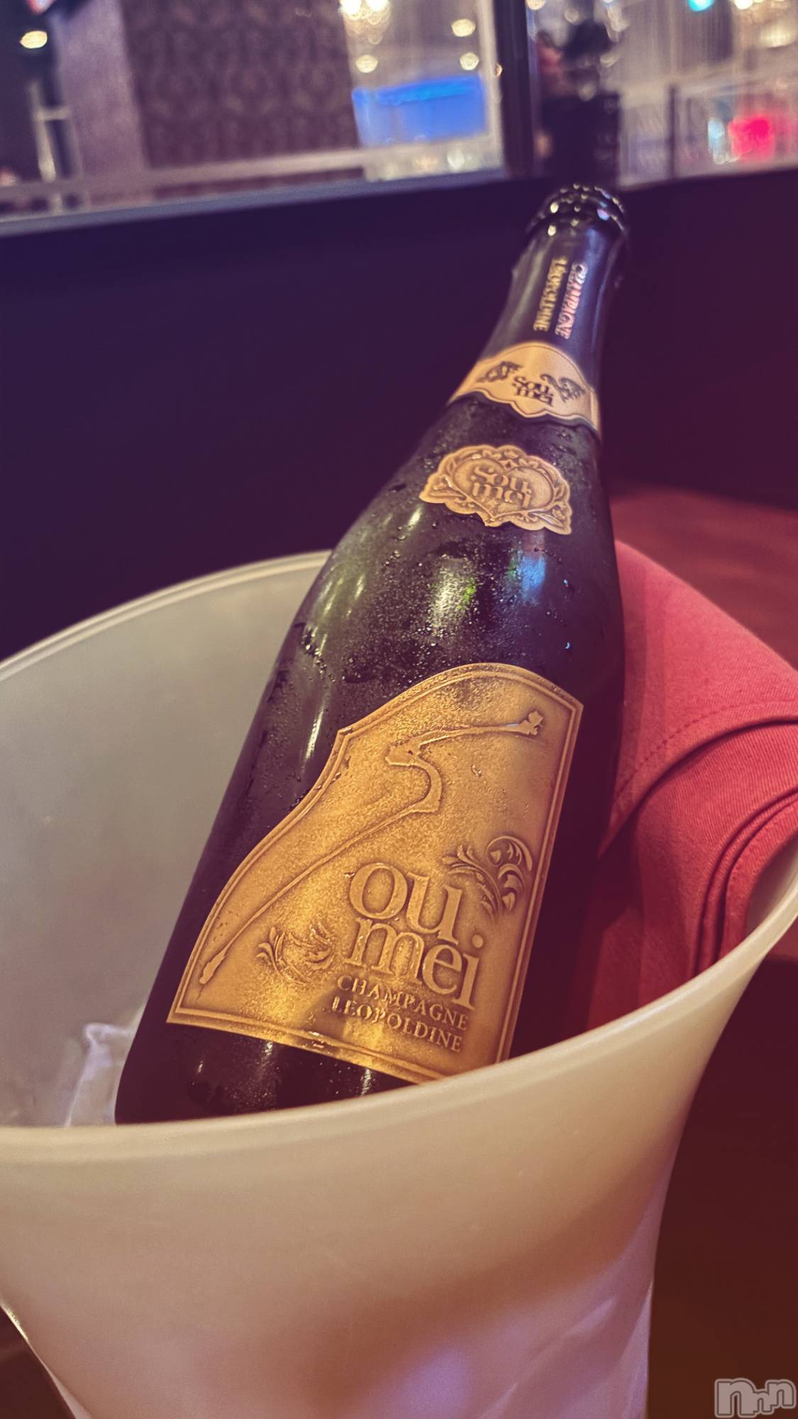 ܱХ顦֥ ץ ( ץ ޥĥ) 2025ǯ520̥֥🥂