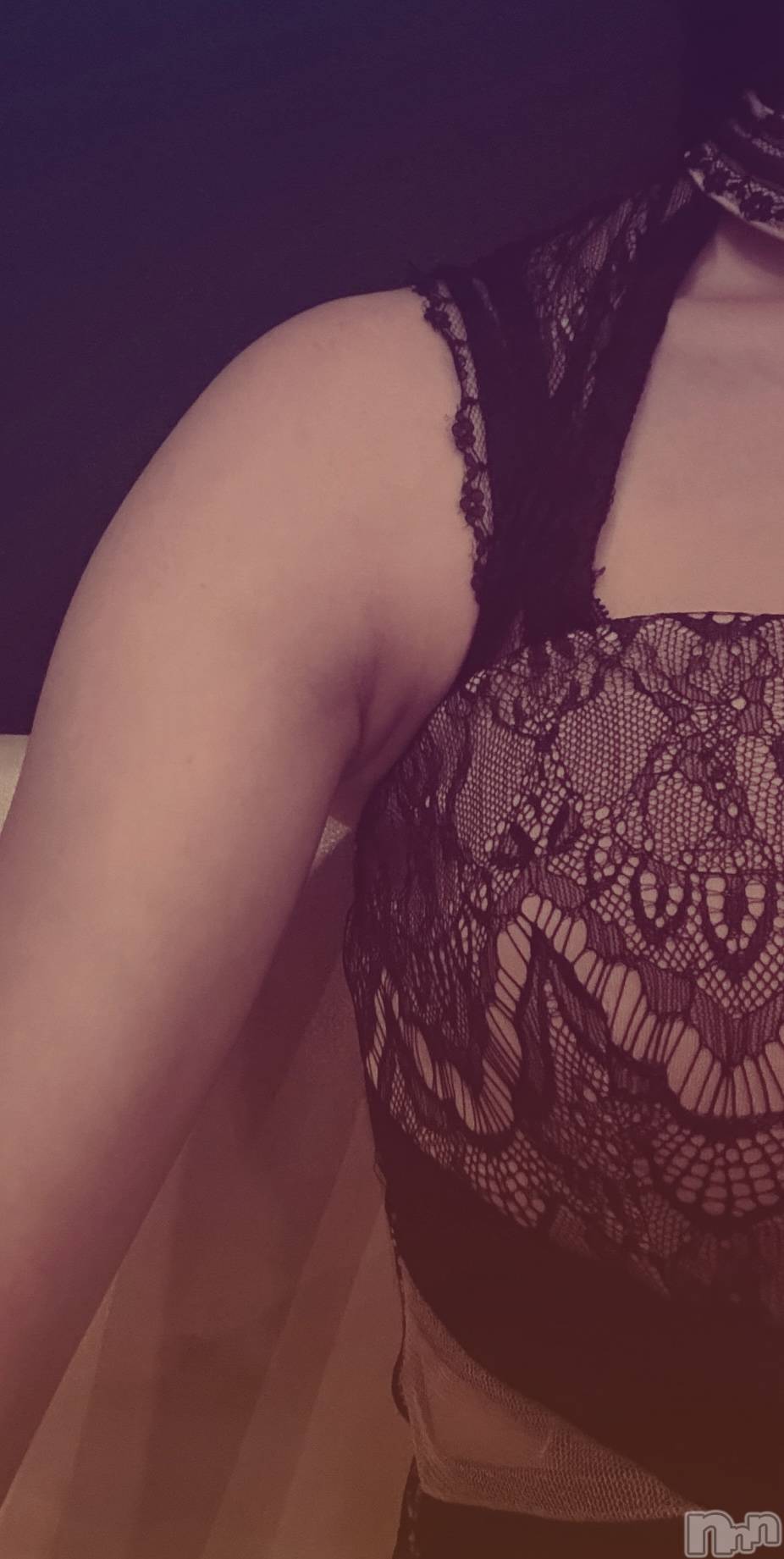 ܱХ顦֥ ץ ( ץ ޥĥ) 2025ǯ521̥֥👗