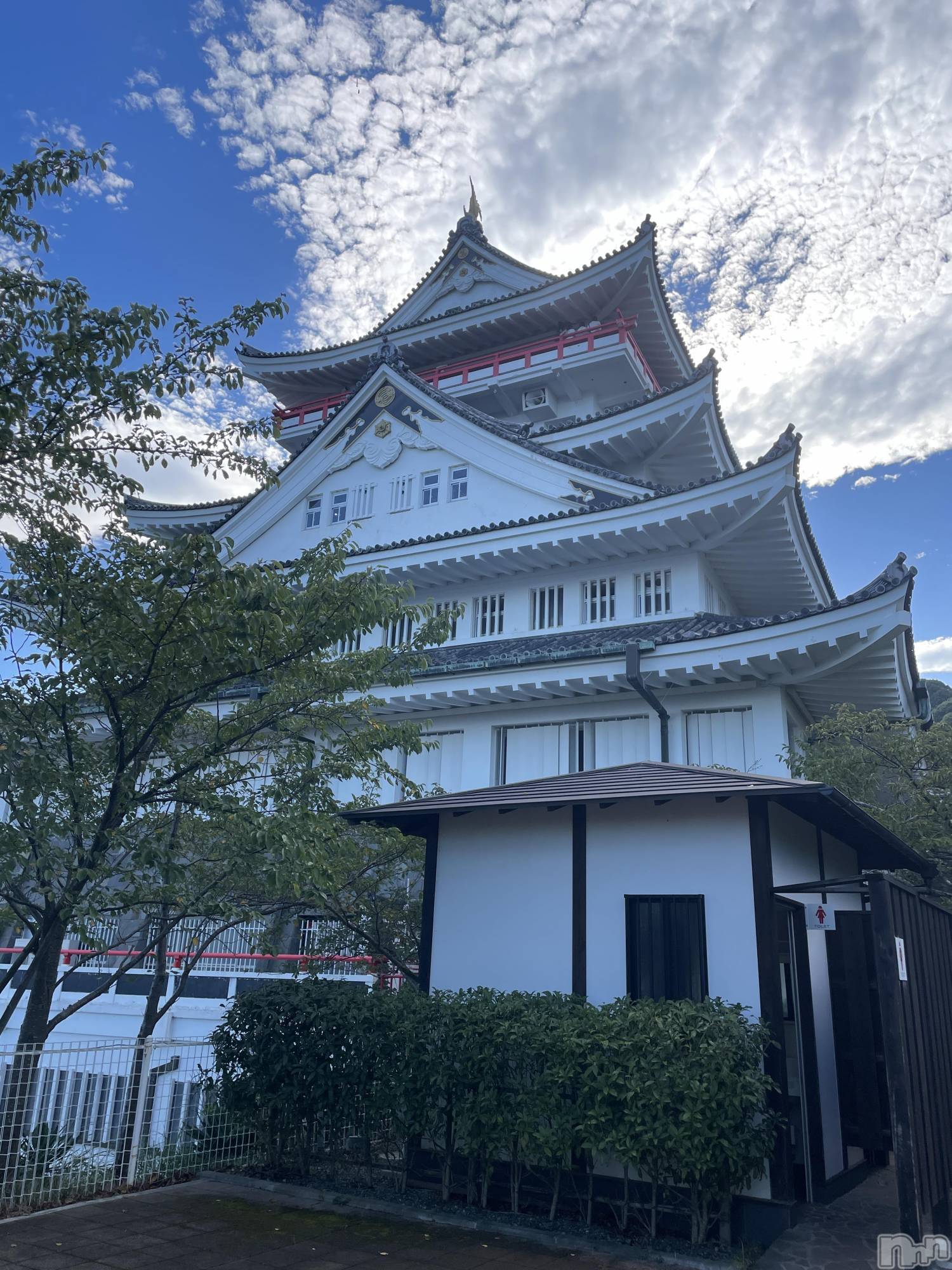 ܱХ顦֥ ץ ( ץ ޥĥ) 2025ǯ63̥֥🏯