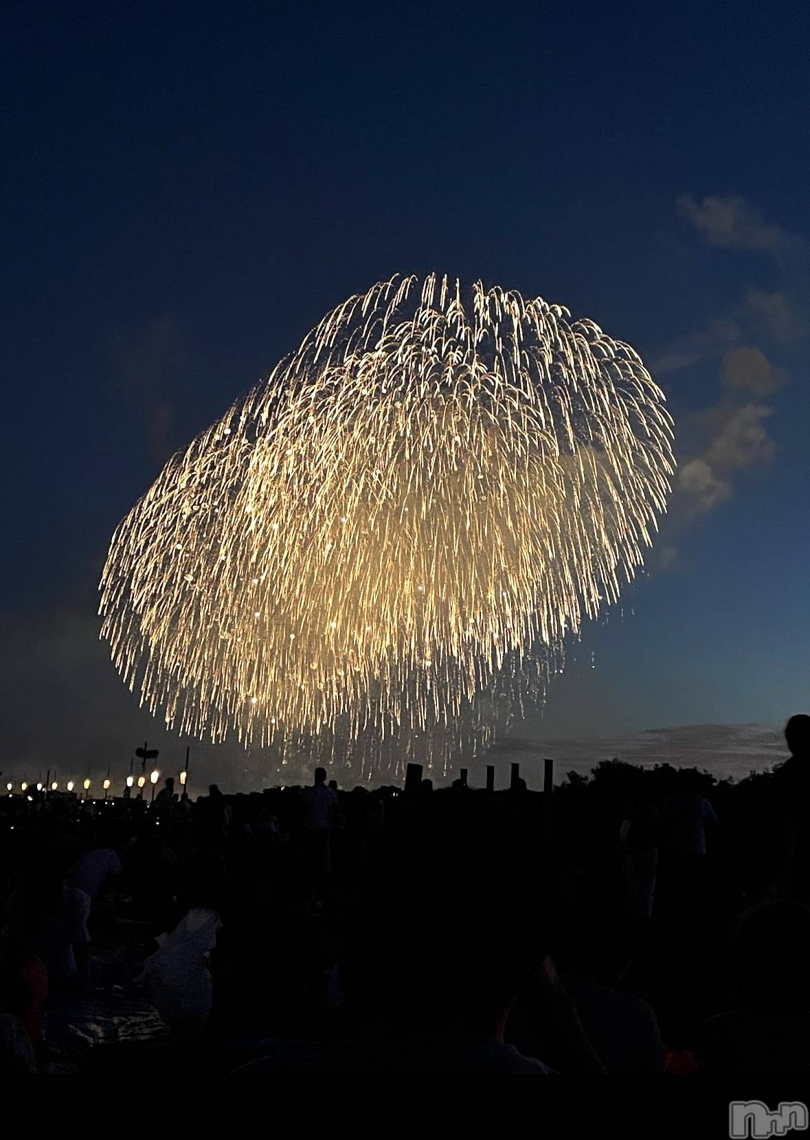 ܱХ顦֥ ץ ( ץ ޥĥ) 2025ǯ623̥֥🎆