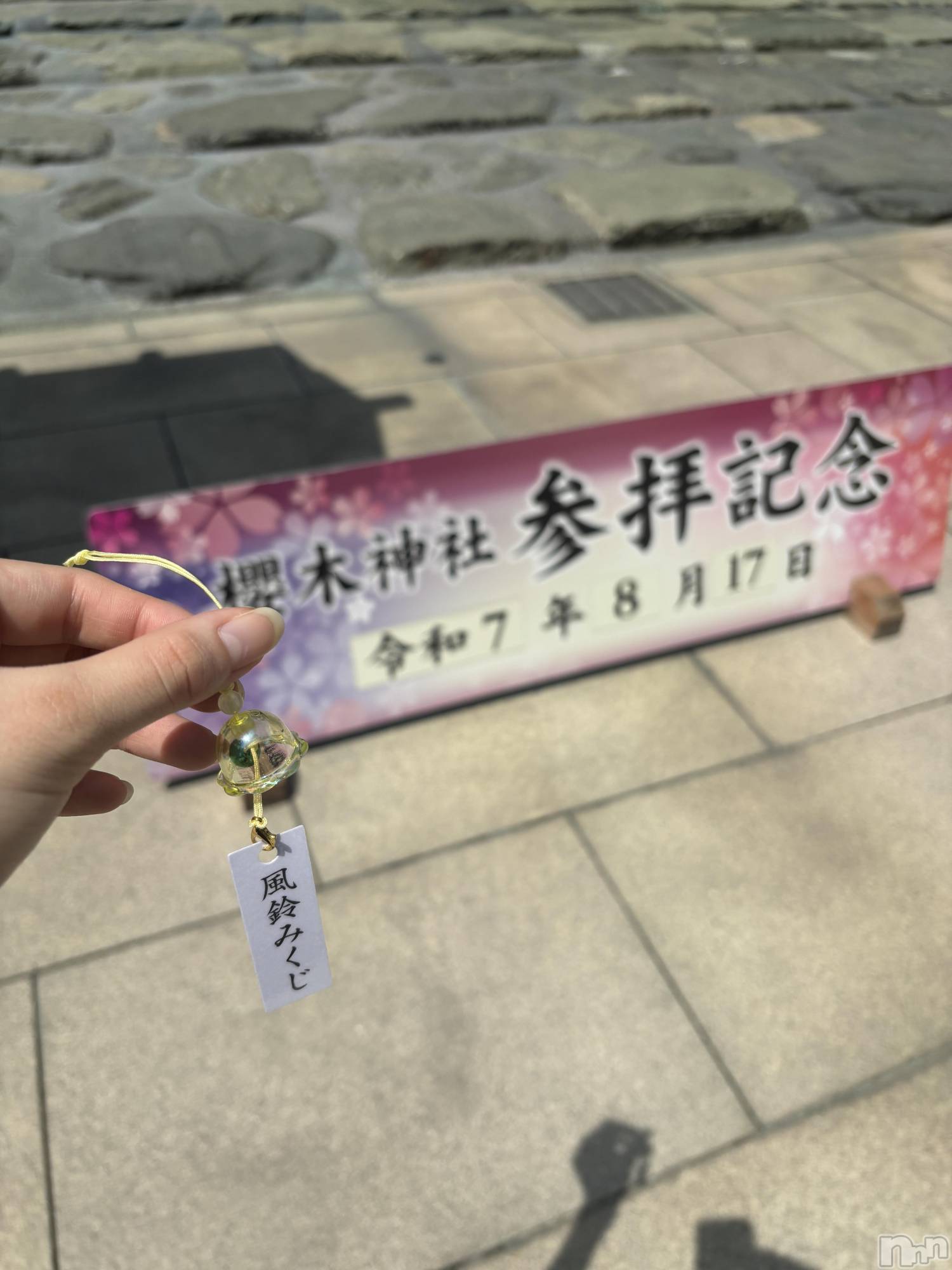 ܱХ顦֥ ץ ( ץ ޥĥ) 2025ǯ826̥֥🌸