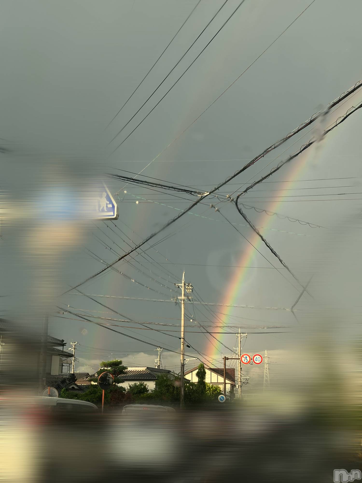 ܱХ顦֥ ץ ( ץ ޥĥ) 2025ǯ101̥֥🌈