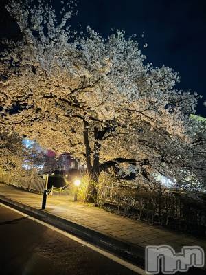 ܱХ顦֥ ץ ( ץ ޥĥ) դ椫(21)47̥֥🌸