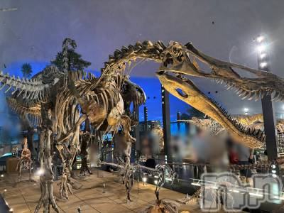 ܱХ顦֥ ץ ( ץ ޥĥ) դ椫(21)731̥֥🦕