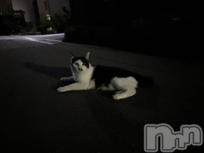 ܱХ顦֥ ץ ( ץ ޥĥ) դ椫(21)926̥֥🐈