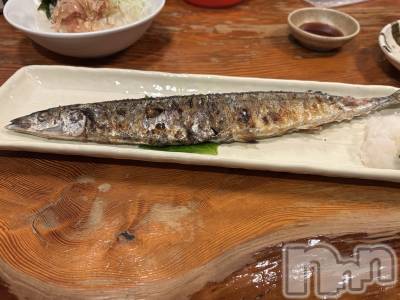 ܱХ顦֥ ץ ( ץ ޥĥ) դ椫(22)1011̥֥🐟