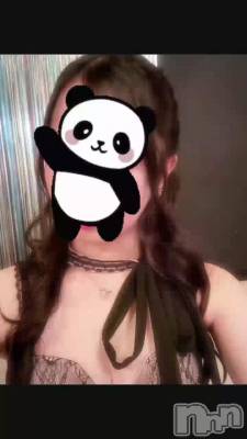 🐼
