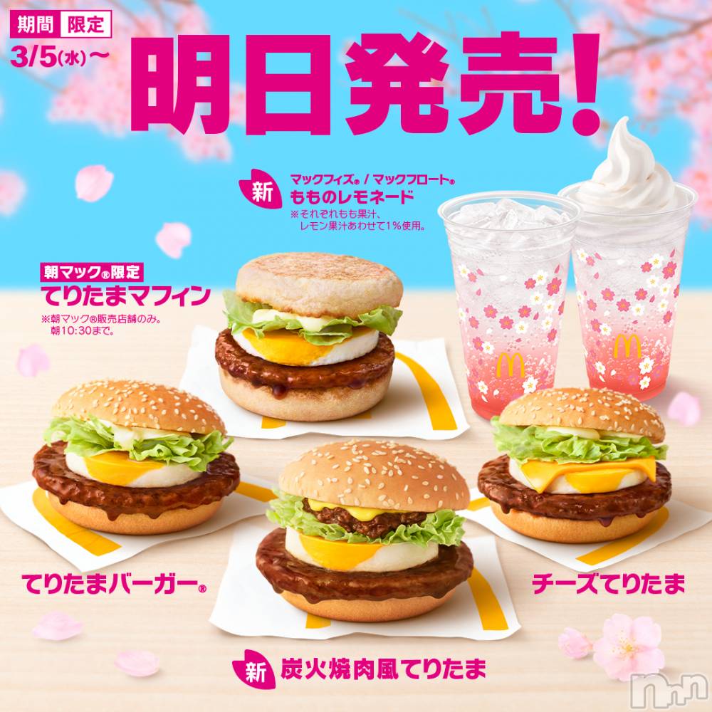 ĮХ顦֥ ץ ( ץ ) 34̥֥֤ä㤪