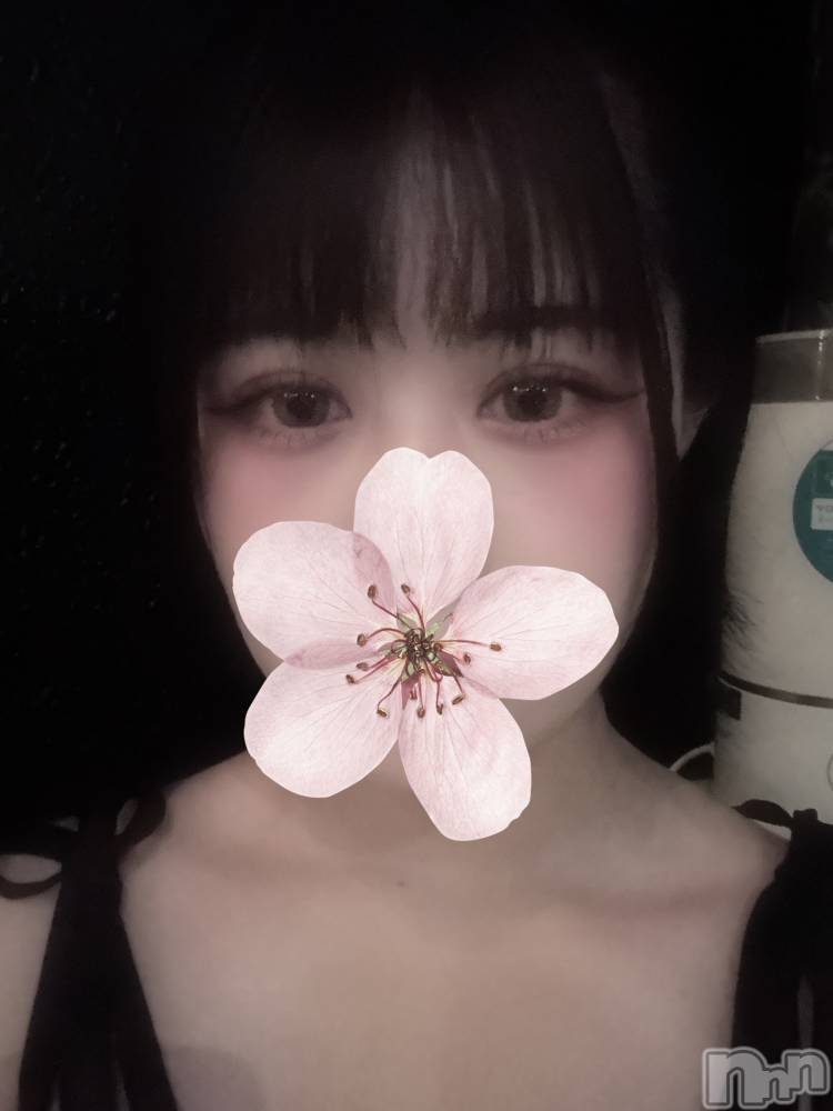 ĮХ顦֥ ץ ( ץ ) 319ֽ̥֥жФޤ