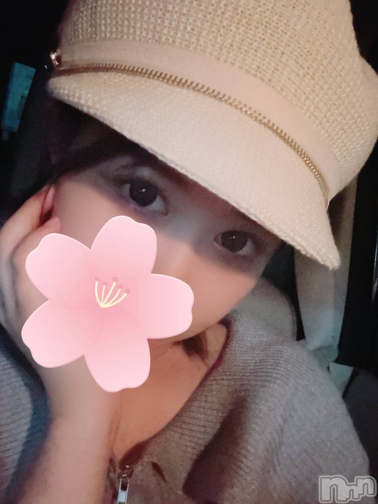 ĮХ顦֥ ץ ( ץ ) 51ֿ̥֥˹👒