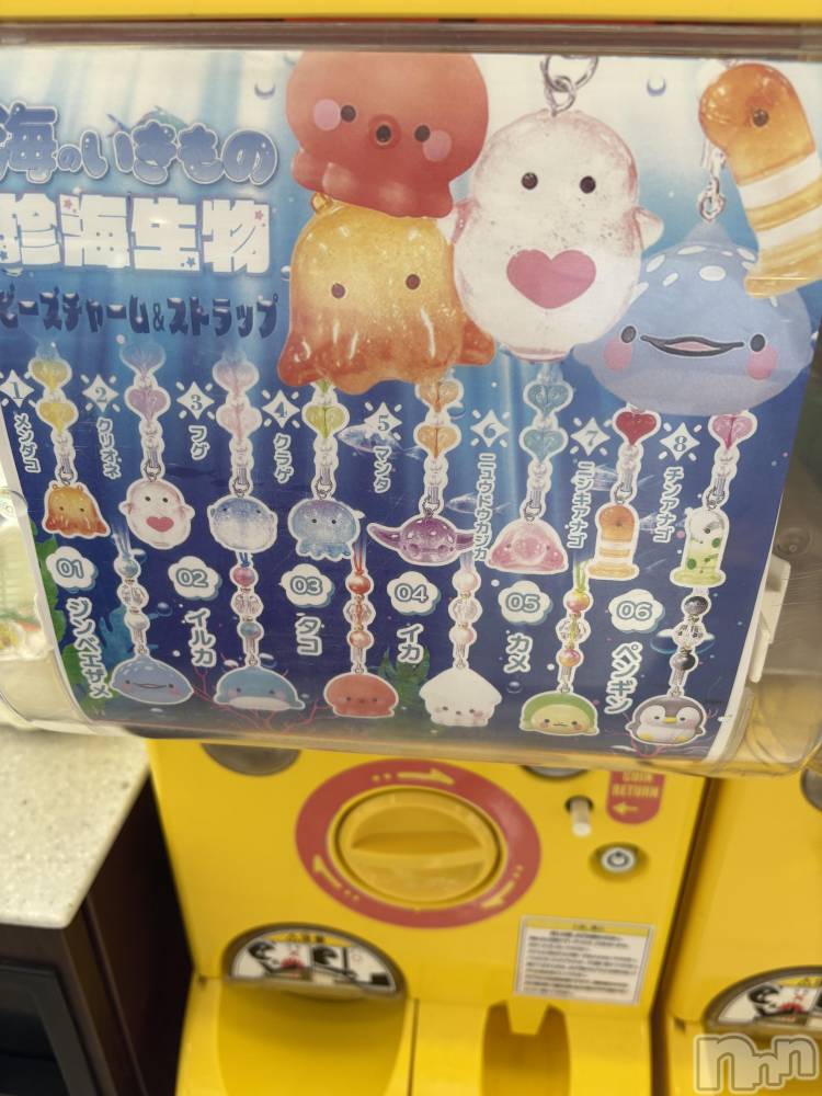ĮХ顦֥ ץ ( ץ ) 63̥֥֤襤🩷
