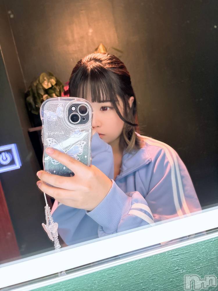 ĮХ顦֥ ץ ( ץ ) 615ּ̥֥̿񤷤͡