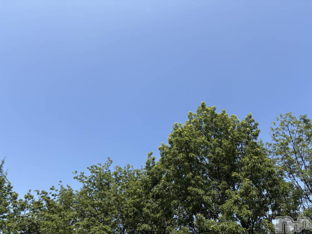 ĮХ顦֥ ץ ( ץ ) 73̥֥֤Ϥ褦☀️
