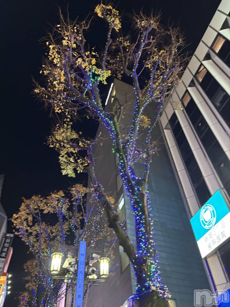 ��Į����Х��顦����֥���� �ץ���� ����(����� �ץ���� ������) ��������������12��15���̥�֥����ֿ��ɡ���