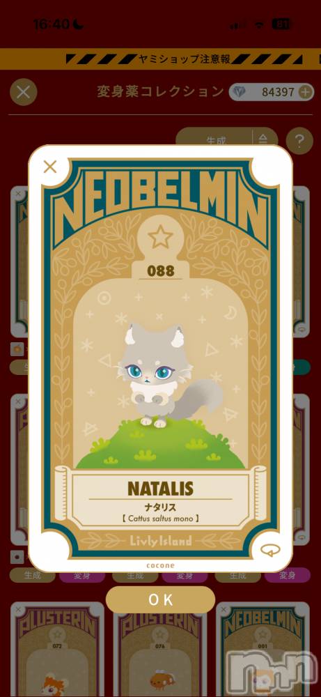 ��Į����Х��顦����֥���� �ץ���� ����(����� �ץ���� ������) ��������������12��24���̥�֥�����12��ο���2���ܡ���