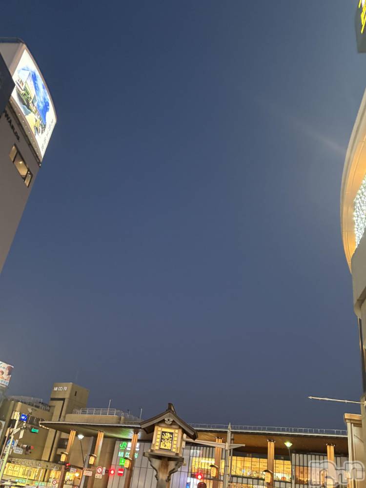 ��Į����Х��顦����֥���� �ץ���� ����(����� �ץ���� ������) ��������������1��16���̥�֥����ְճ����Ȥ�����