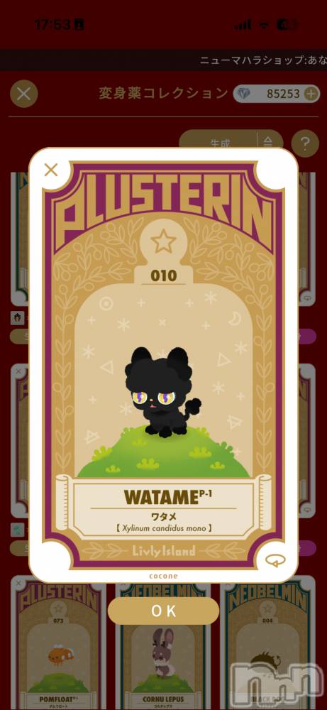 ��Į����Х��顦����֥���� �ץ���� ����(����� �ץ���� ������) ��������������1��19���̥�֥����ֿ��ù�����