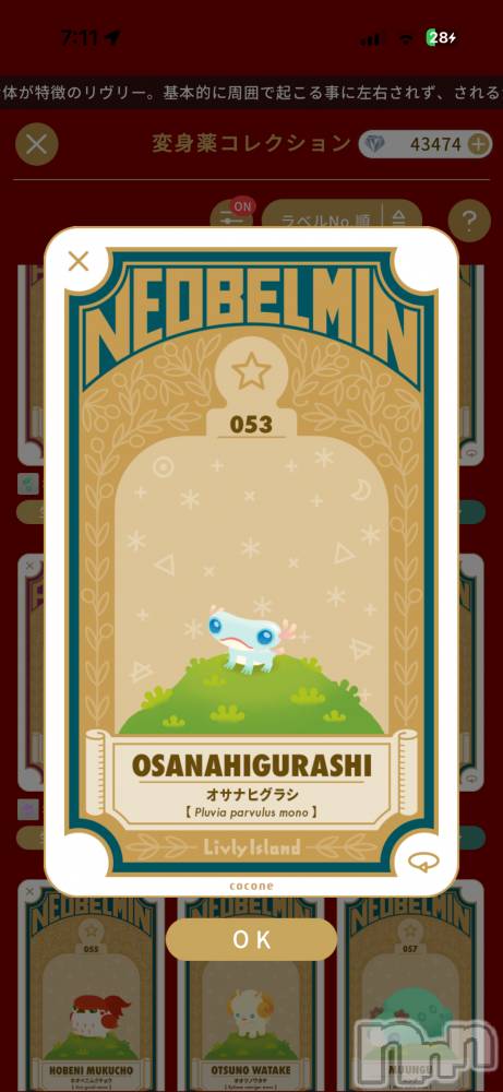 ��Į����Х��顦����֥���� �ץ���� ����(����� �ץ���� ������) ��������������2��16���̥�֥����֥����ѡ��롼�ѡ�����