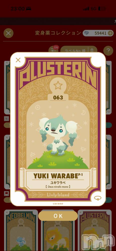 ��Į����Х��顦����֥���� �ץ���� ����(����� �ץ���� ������) ��������������2��21���̥�֥������ѿȡ���