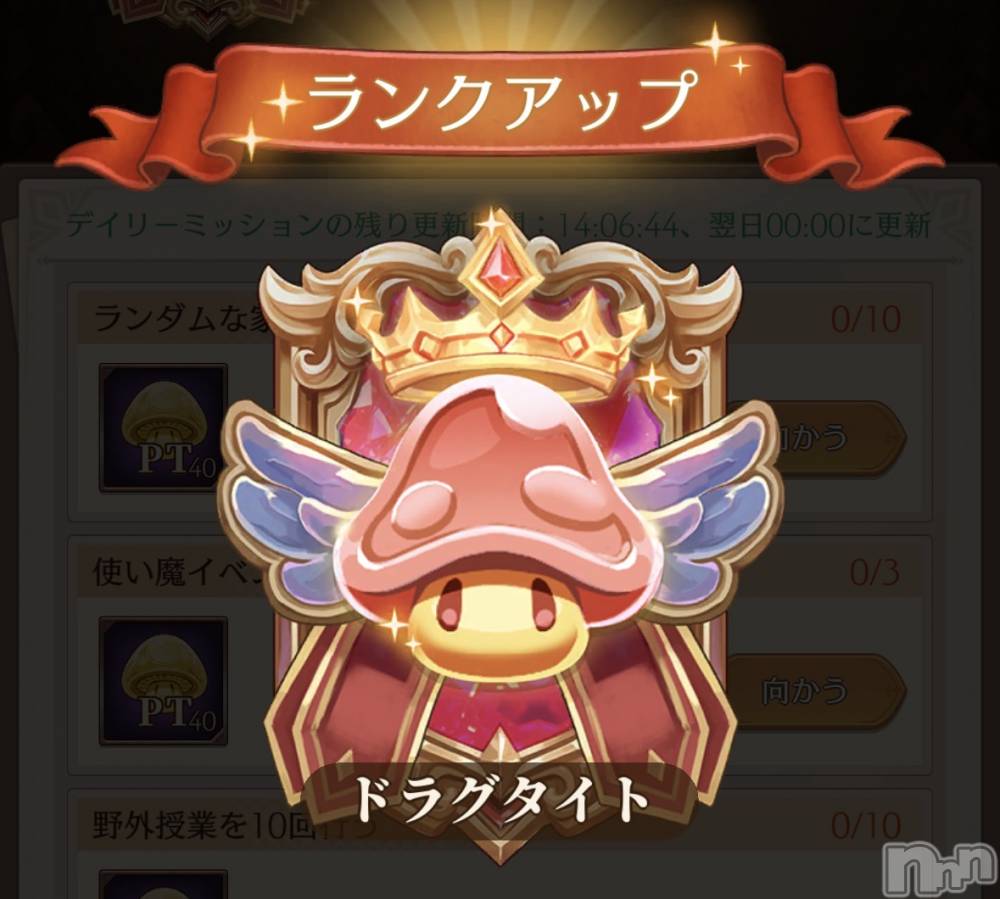 ��Į����Х��顦����֥���� �ץ���� ����(����� �ץ���� ������) ��������������2��23���̥�֥����֥��ꥮ��(;��;)��