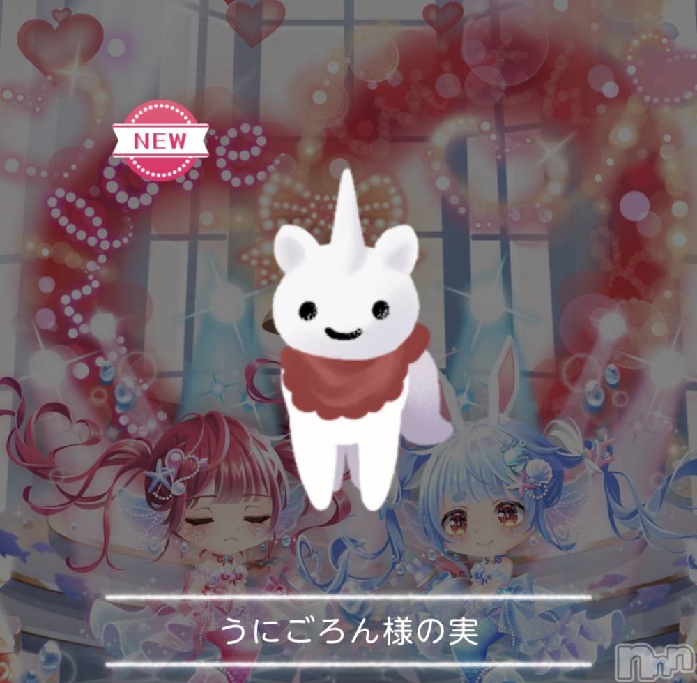 ��Į����Х��顦����֥���� �ץ���� ����(����� �ץ���� ������) ��������������2��27���̥�֥����֤��襤����