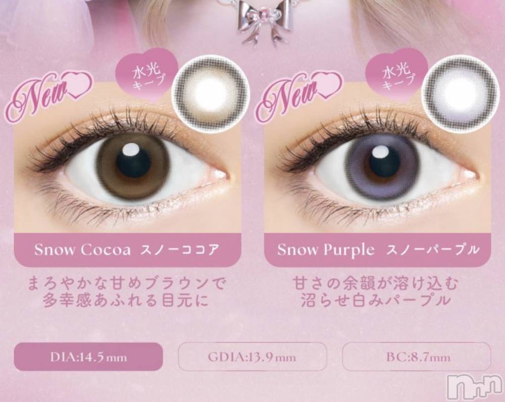 ��Į����Х��顦����֥���� �ץ���� ����(����� �ץ���� ������) ��������������3��1���̥�֥������㤦��Ǻ��Ǥ��