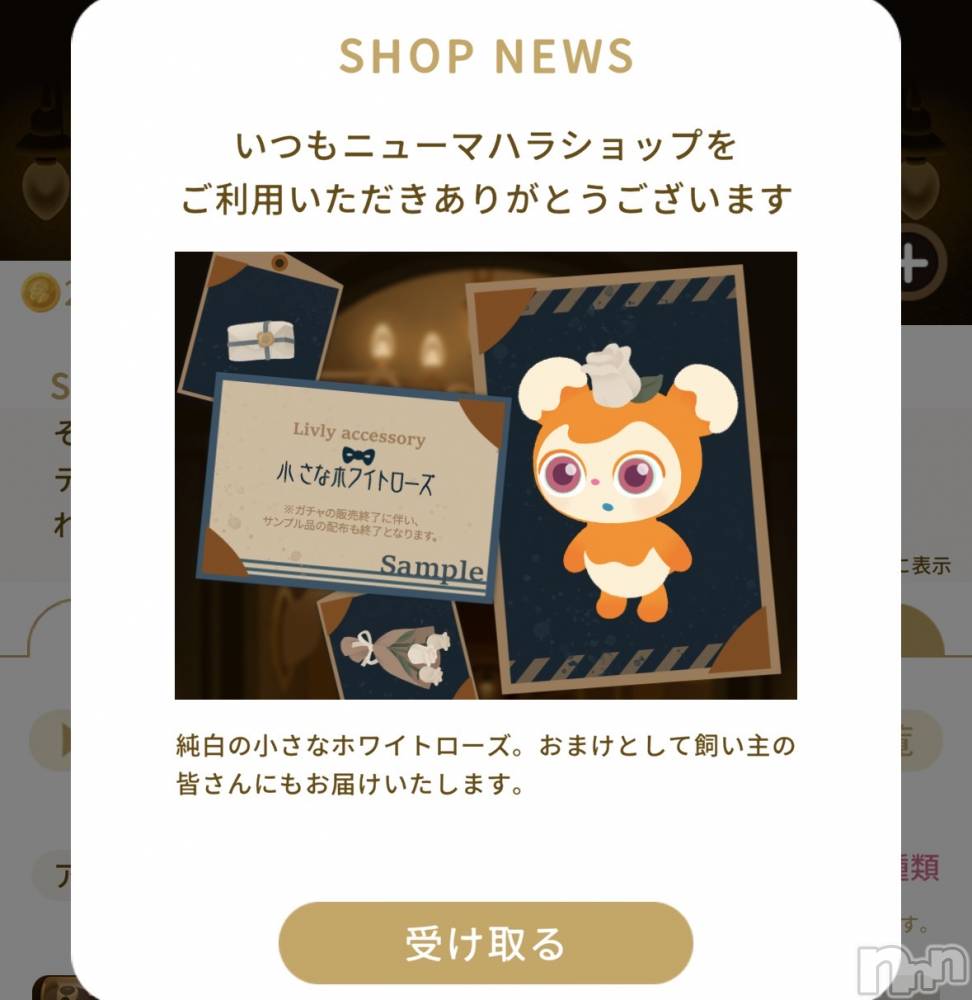 ��Į����Х��顦����֥���� �ץ���� ����(����� �ץ���� ������) ��������������3��8���̥�֥����֥ץ쥼���- ̗̀🎁 ̖́-��