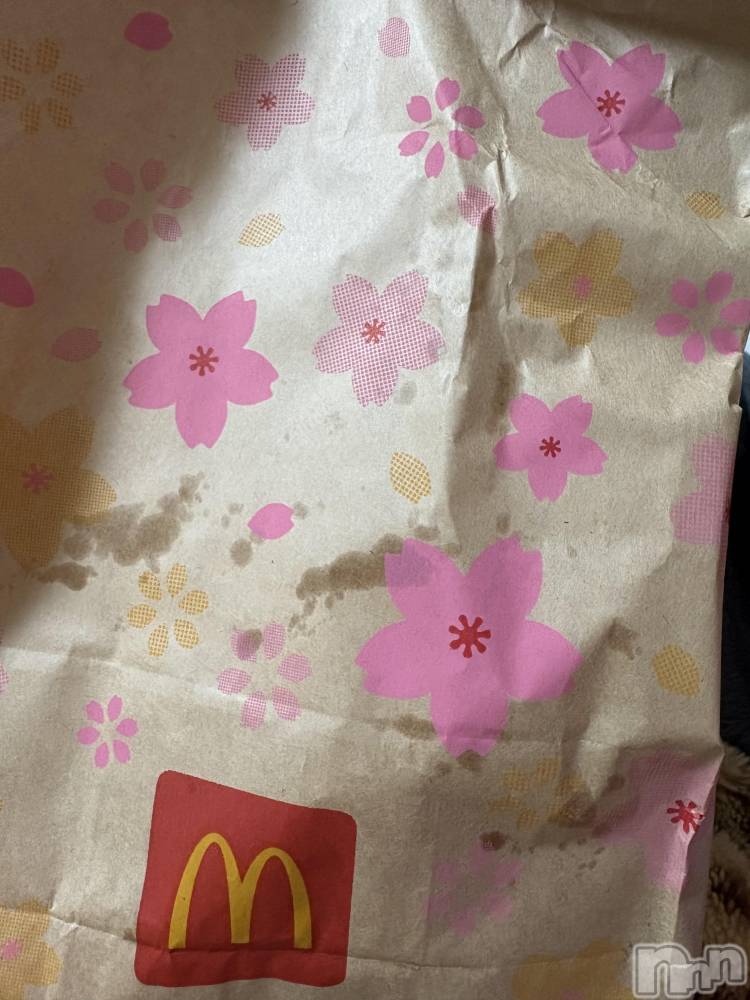 ��Į����Х��顦����֥���� �ץ���� ����(����� �ץ���� ������) ��������������3��12���̥�֥������޲İ���🌸��