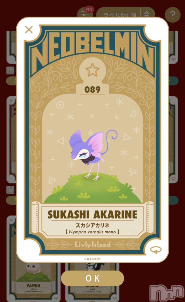 ��Į����Х��顦����֥���� �ץ���� ����(����� �ץ���� ������) ��������������3��19���̥�֥����֤��襤����