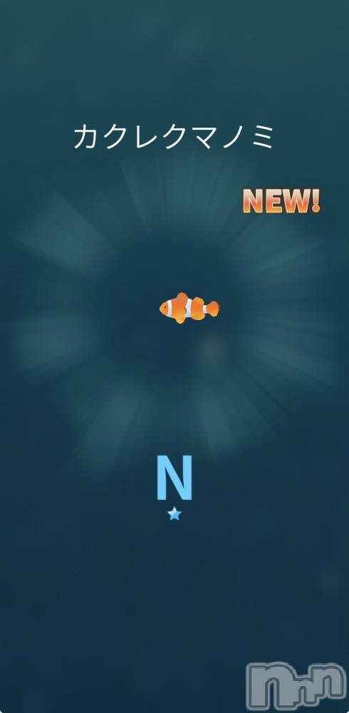 ��Į����Х��顦����֥���� �ץ���� ����(����� �ץ���� ������) ��������������3��20���̥�֥����ֿ��������������줿��