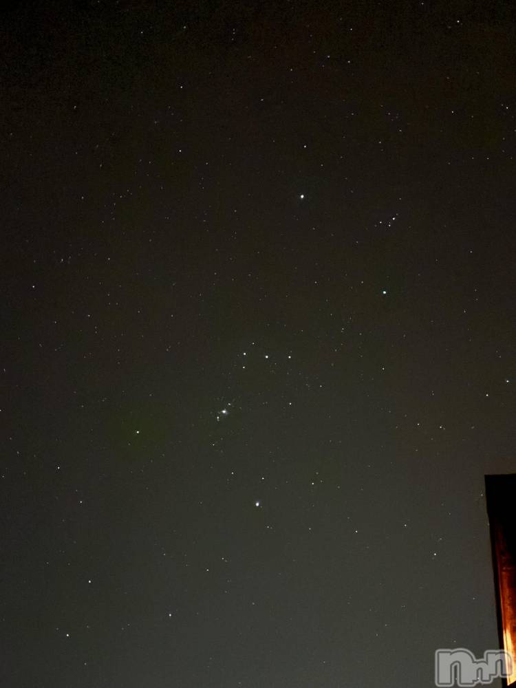 ��Į����Х��顦����֥���� �ץ���� ����(����� �ץ���� ������) ��������������3��20���̥�֥����֥��ꥪ���✨��