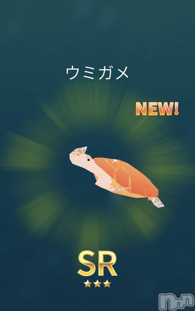 ��Į����Х��顦����֥���� �ץ���� ����(����� �ץ���� ������) ��������������3��22���̥�֥����ֶ⿧����🥚��