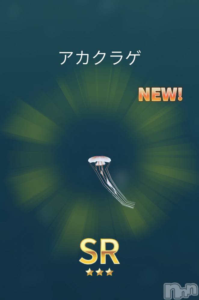 ��Į����Х��顦����֥���� �ץ���� ����(����� �ץ���� ������) ��������������3��24���̥�֥����֤��襤����