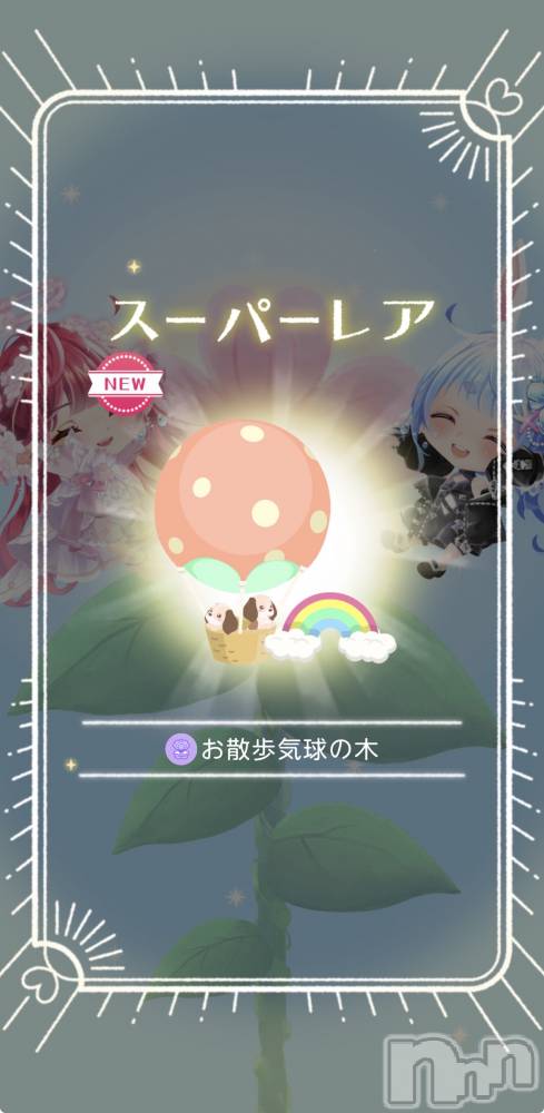 ��Į����Х��顦����֥���� �ץ���� ����(����� �ץ���� ������) ��������������4��8���̥�֥����ֿ������ڤǤ���