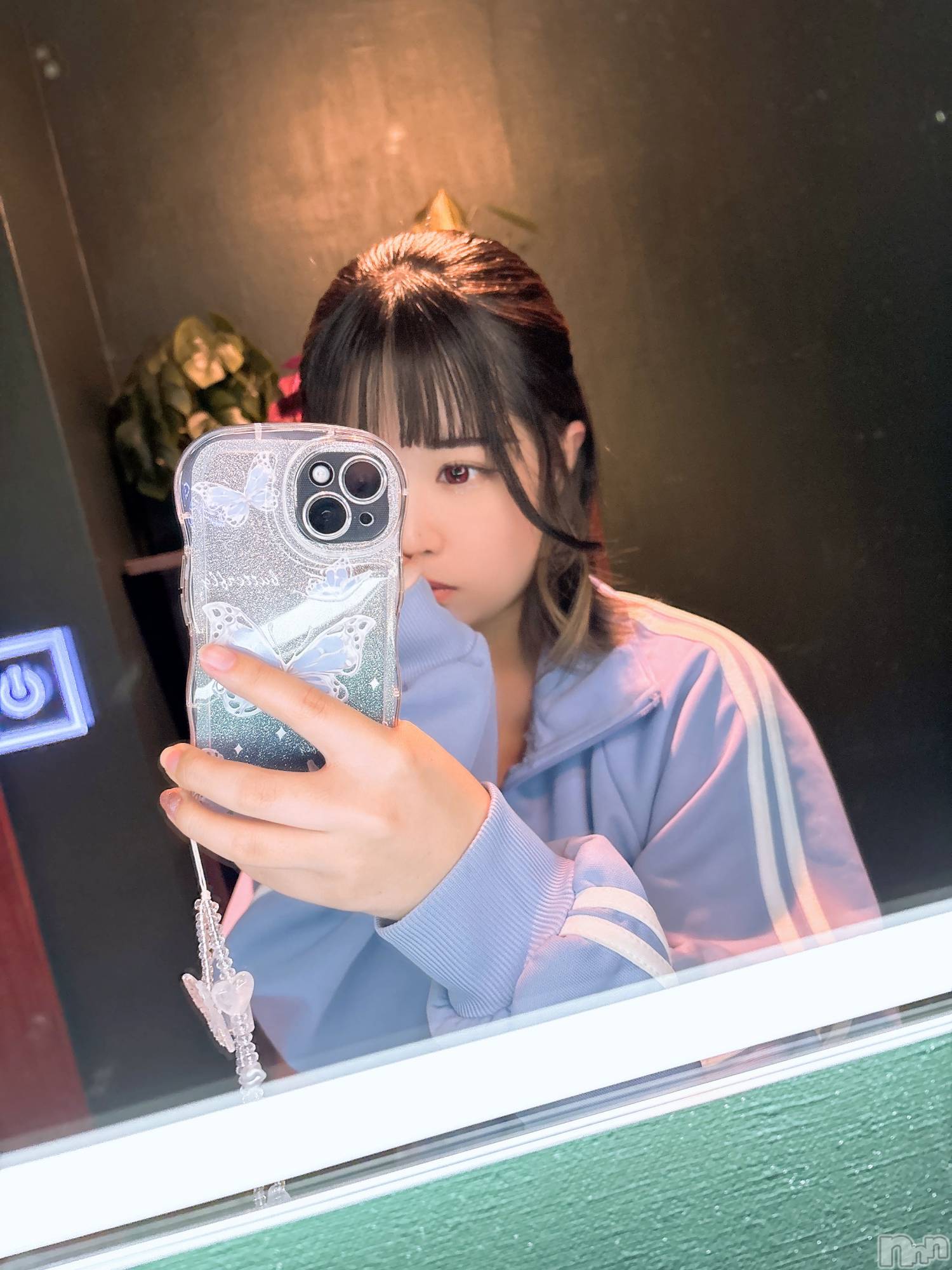 ĮХ顦֥ ץ ( ץ ) 2025ǯ615ּ̥֥̿񤷤͡