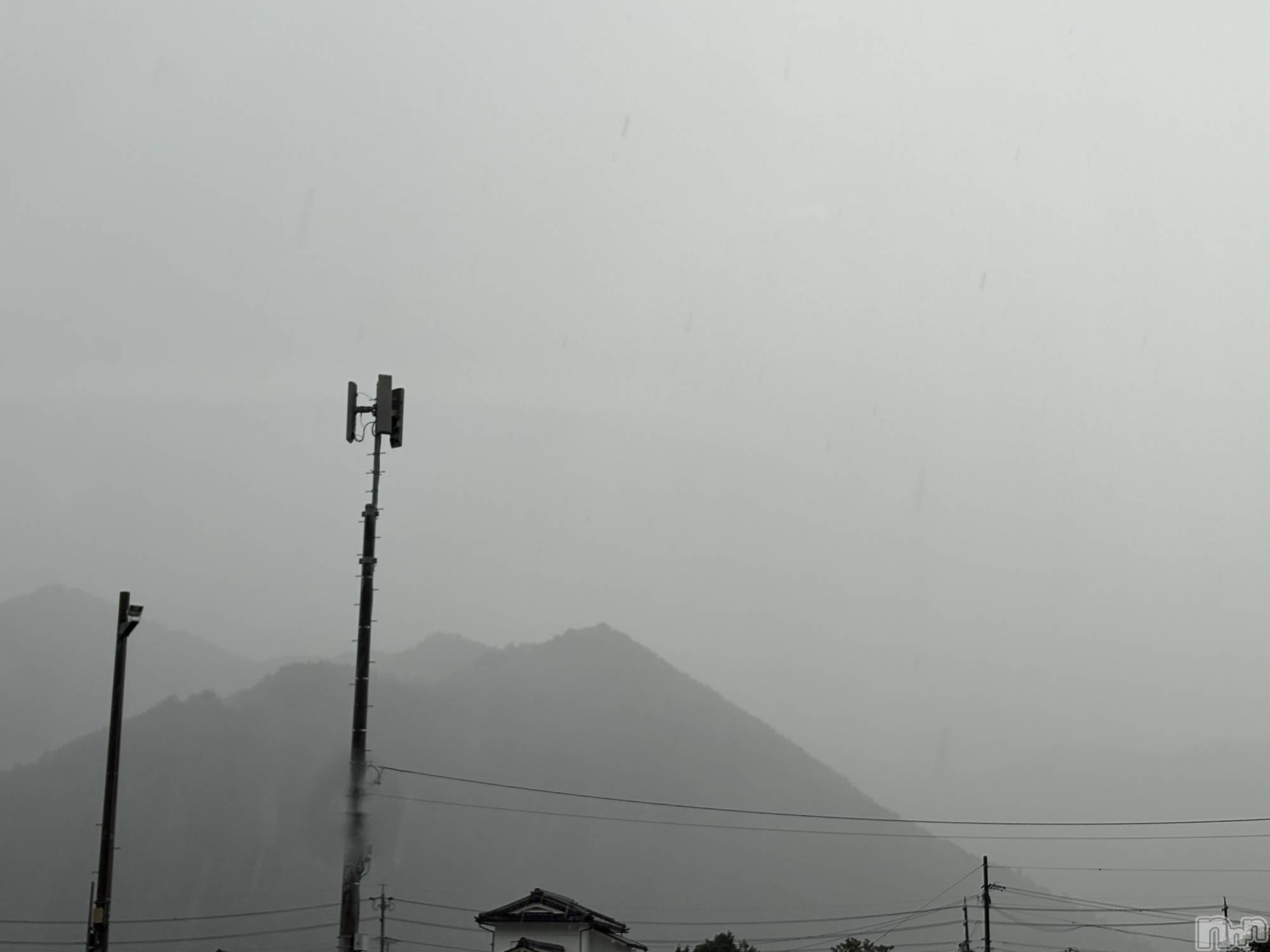 ĮХ顦֥ ץ ( ץ ) 2025ǯ723̥֥֤☔️