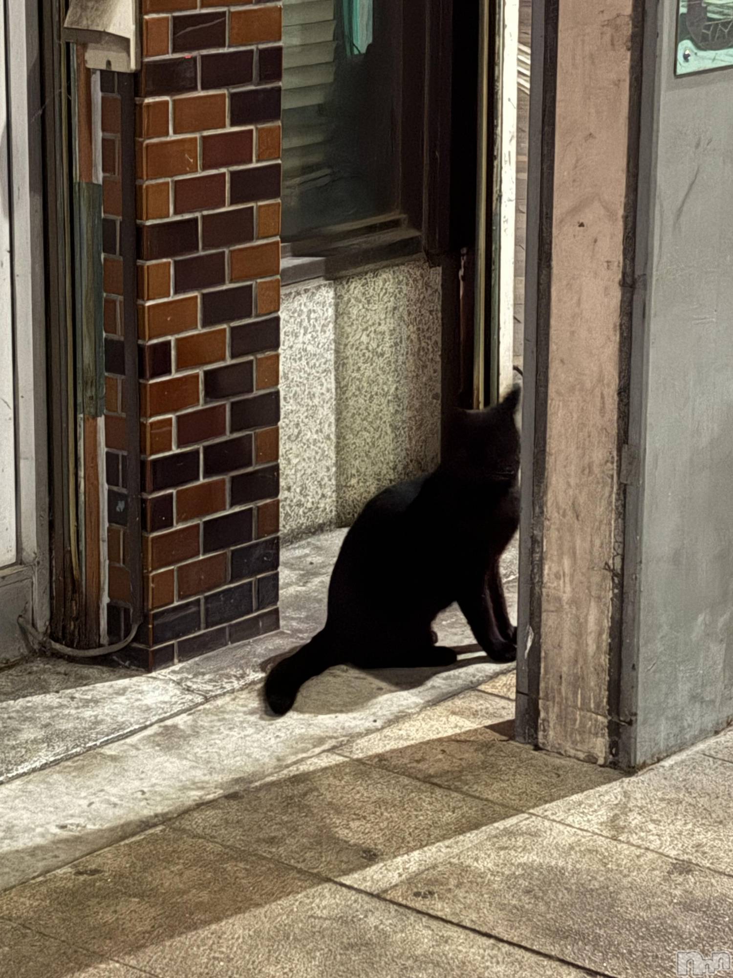 ĮХ顦֥ ץ ( ץ ) 2025ǯ82̥֥֤ޤäˤߤĤǭ🐈