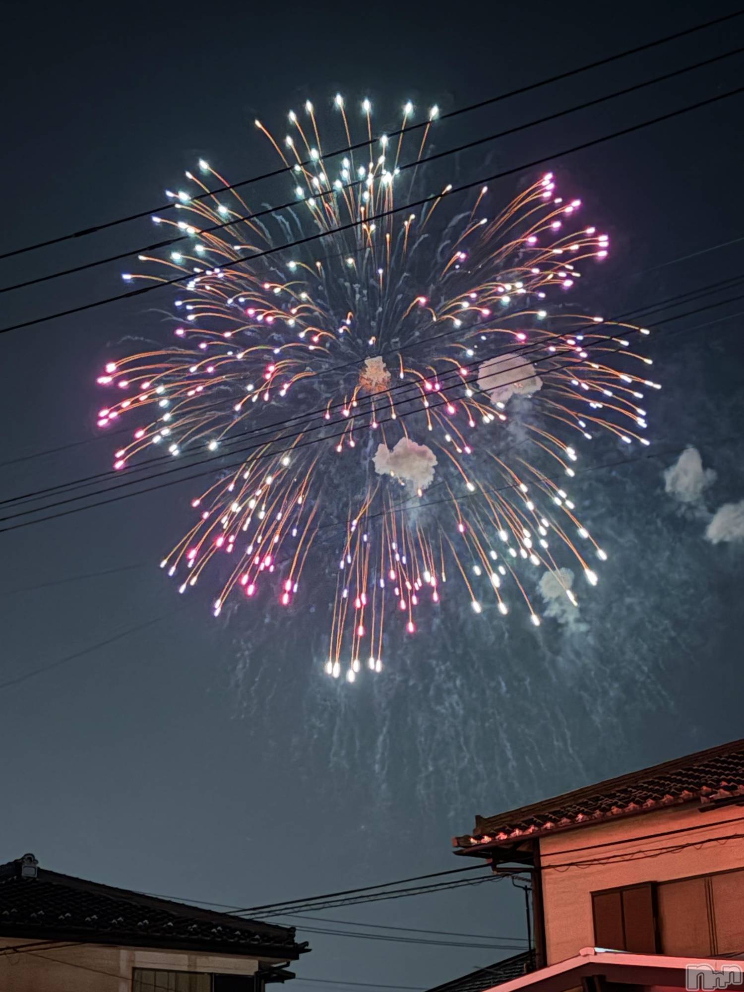 ĮХ顦֥ ץ ( ץ ) 2025ǯ823ֹ̥֥βֲ🎆