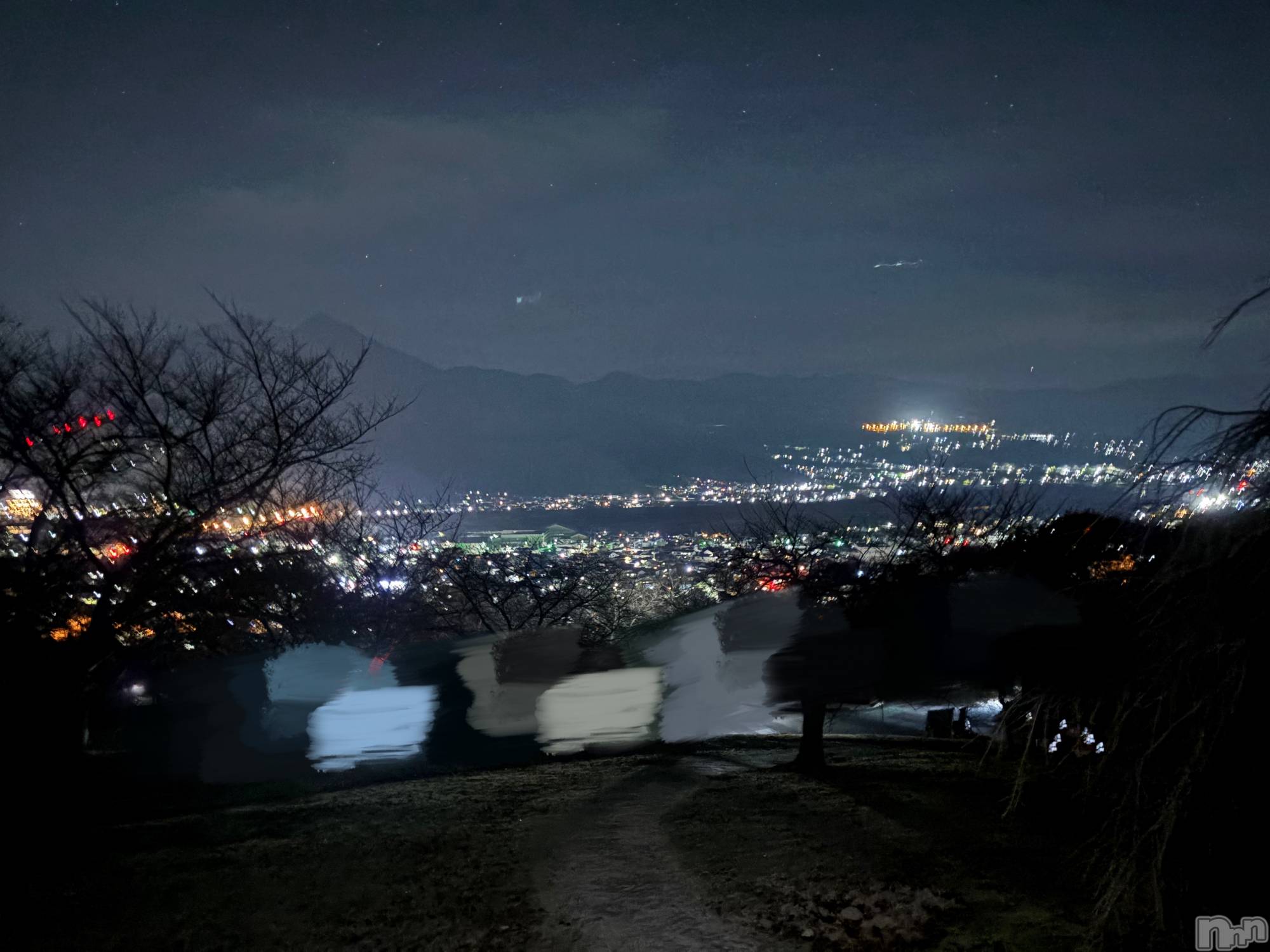 ĮХ顦֥ ץ ( ץ ) 2025ǯ1123̥֥ä⭐️