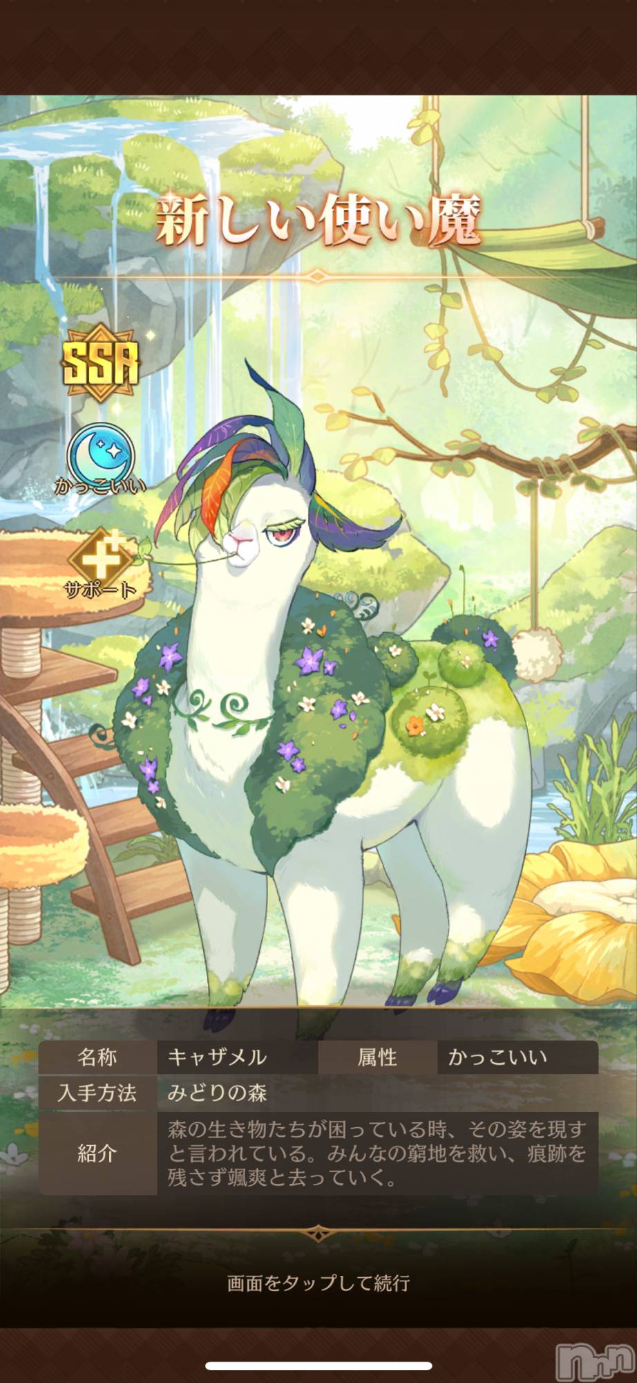 ĮХ顦֥ ץ ( ץ ) 2025ǯ1124̥֥3%😱