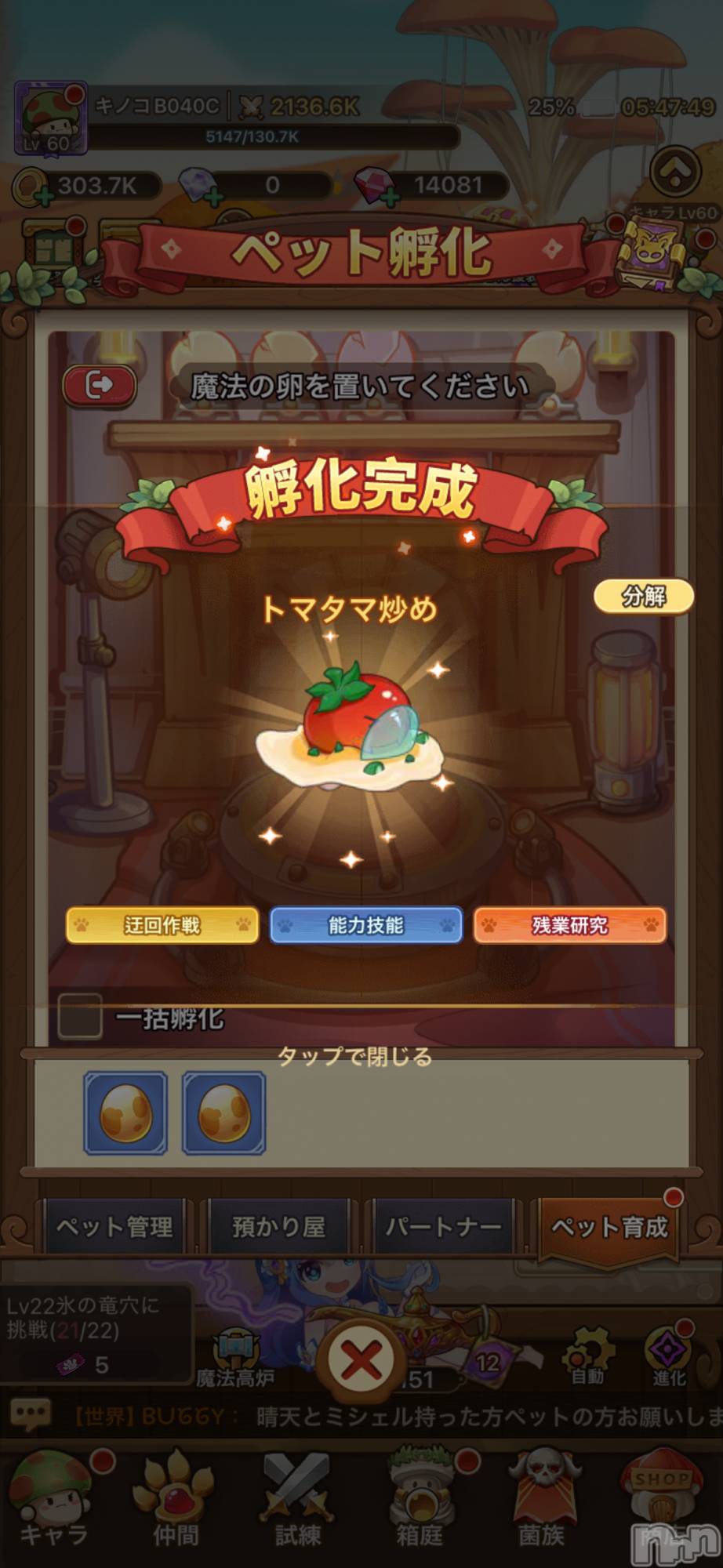 ĮХ顦֥ ץ ( ץ ) 2025ǯ123̥֥֤襤ޤ👀