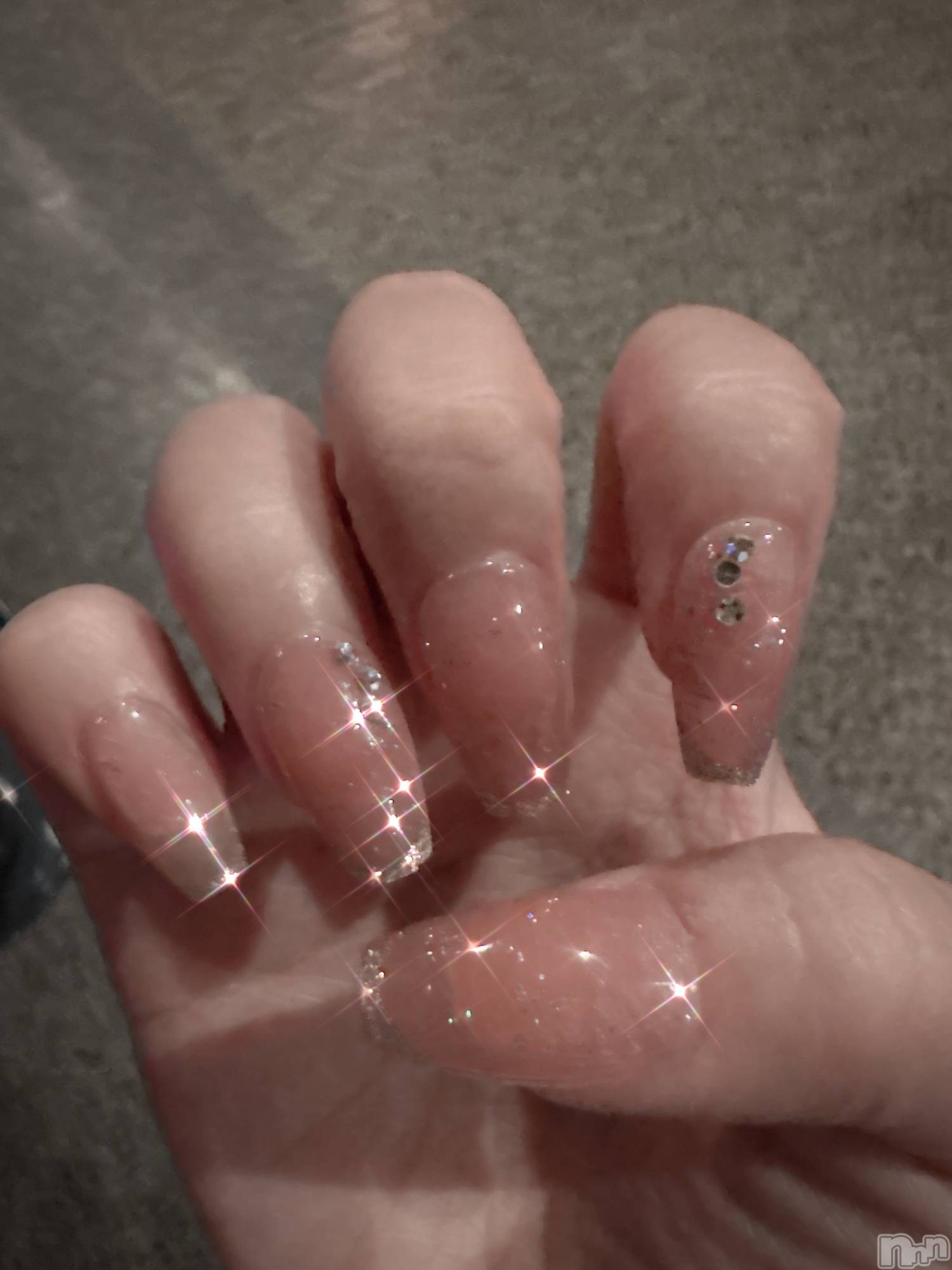 ��Į����Х��顦����֥���� �ץ���� ����(����� �ץ���� ������) ��2025ǯ12��13���̥�֥����ֿ������ޡ�����