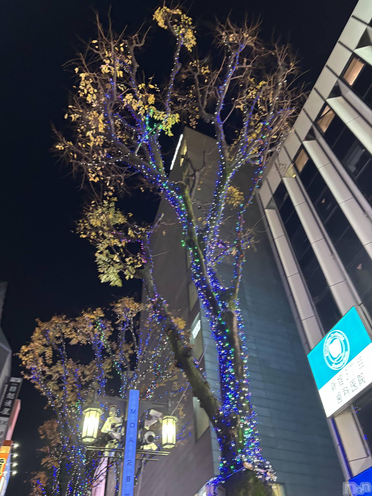 ��Į����Х��顦����֥���� �ץ���� ����(����� �ץ���� ������) ��2025ǯ12��15���̥�֥����ֿ��ɡ���