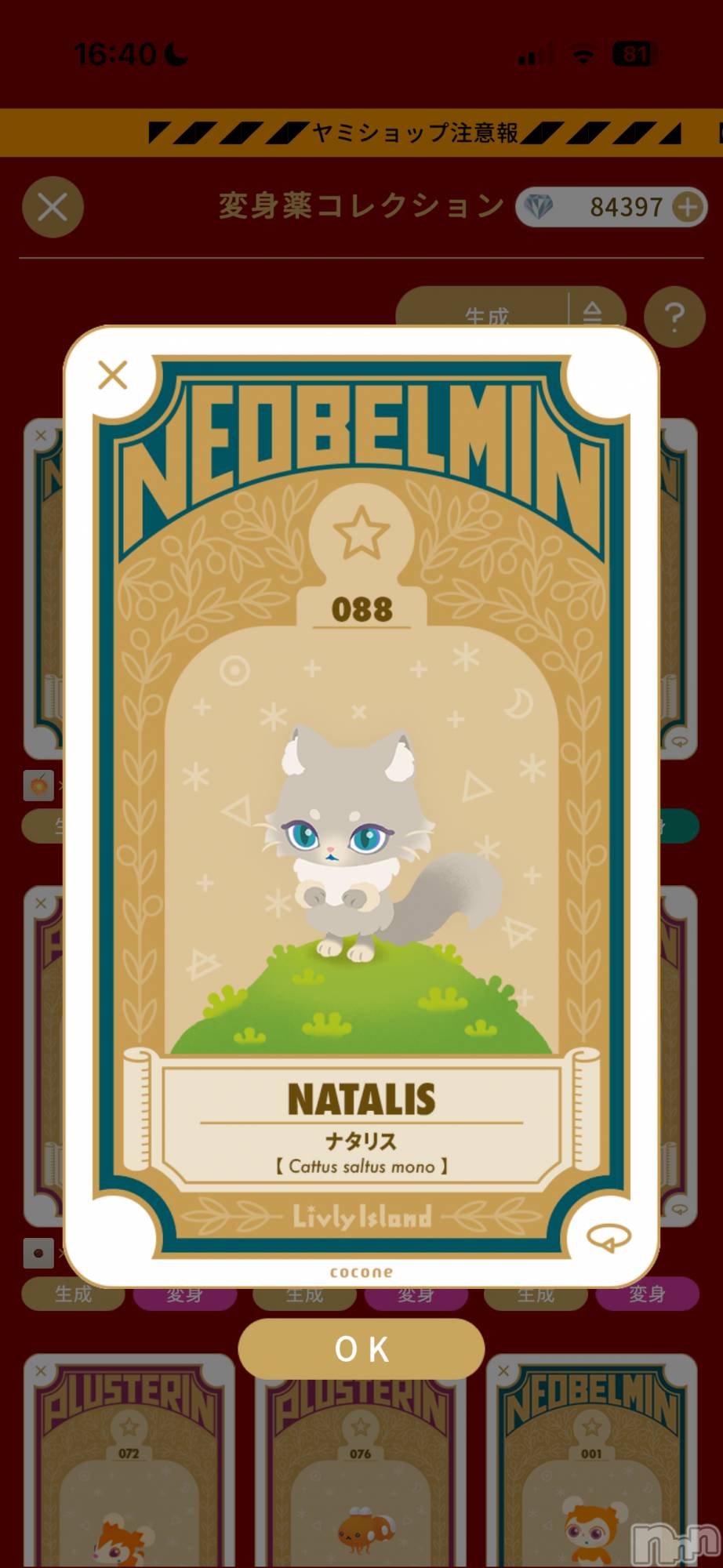 ��Į����Х��顦����֥���� �ץ���� ����(����� �ץ���� ������) ��2025ǯ12��24���̥�֥�����12��ο���2���ܡ���