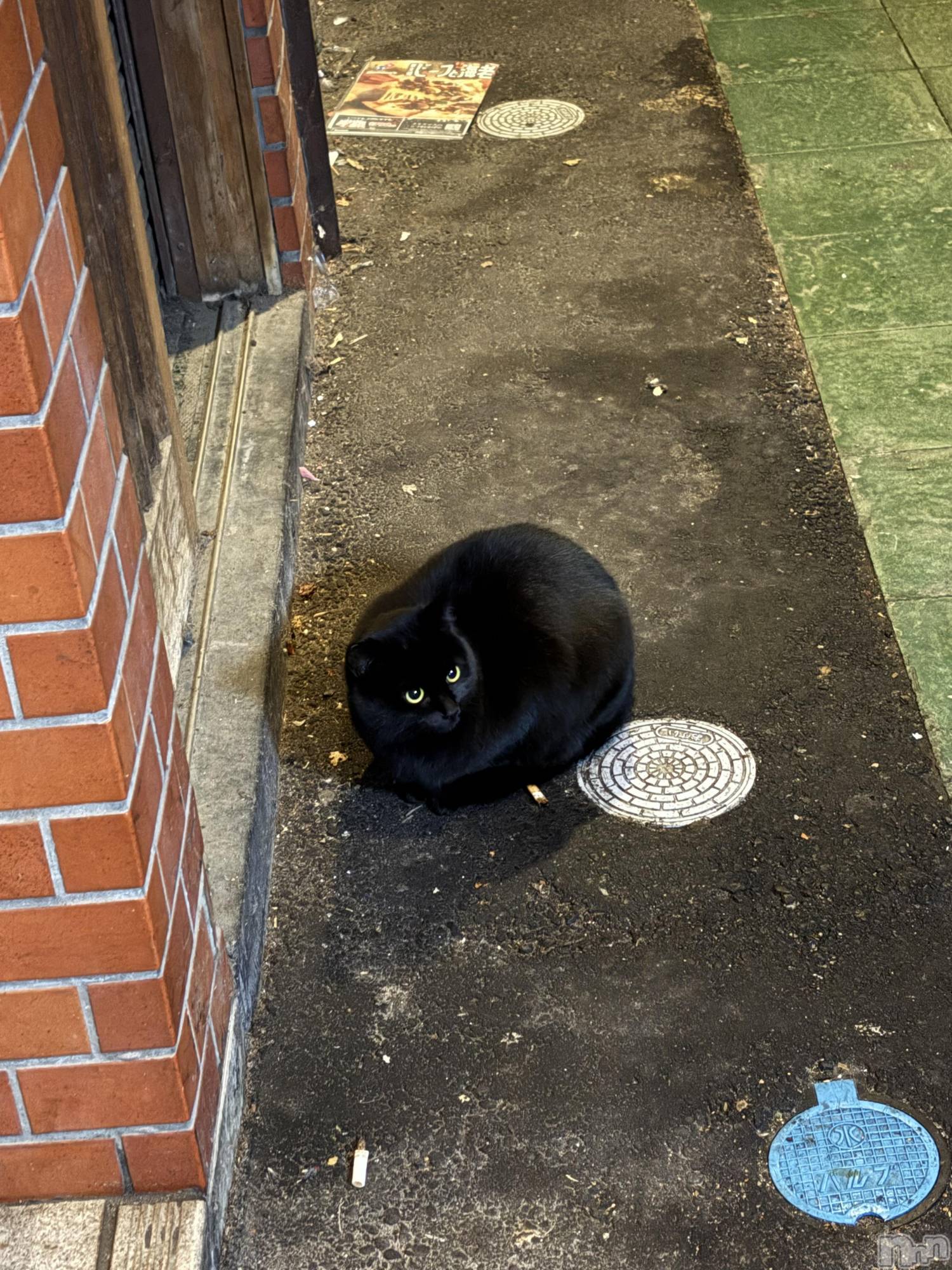 ��Į����Х��顦����֥���� �ץ���� ����(����� �ץ���� ������) ��2025ǯ12��26���̥�֥����֤̤���😍🙏✨��