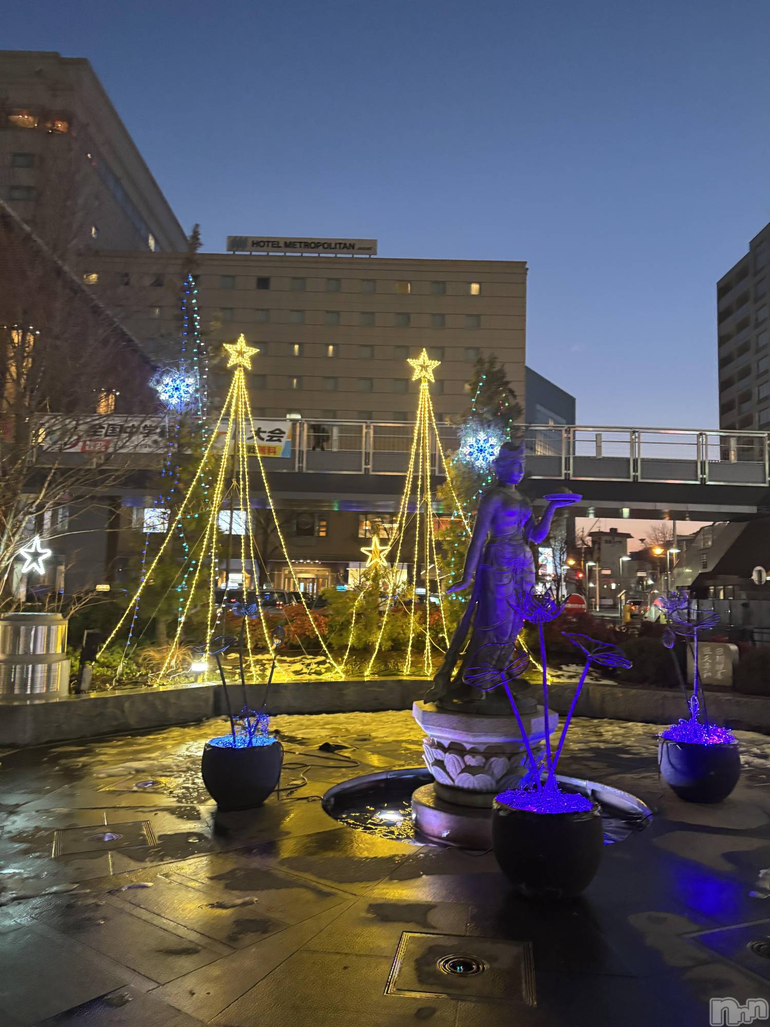 ��Į����Х��顦����֥���� �ץ���� ����(����� �ץ���� ������) ��2026ǯ1��17���̥�֥����ֱ����Υ���ߥ͡�������