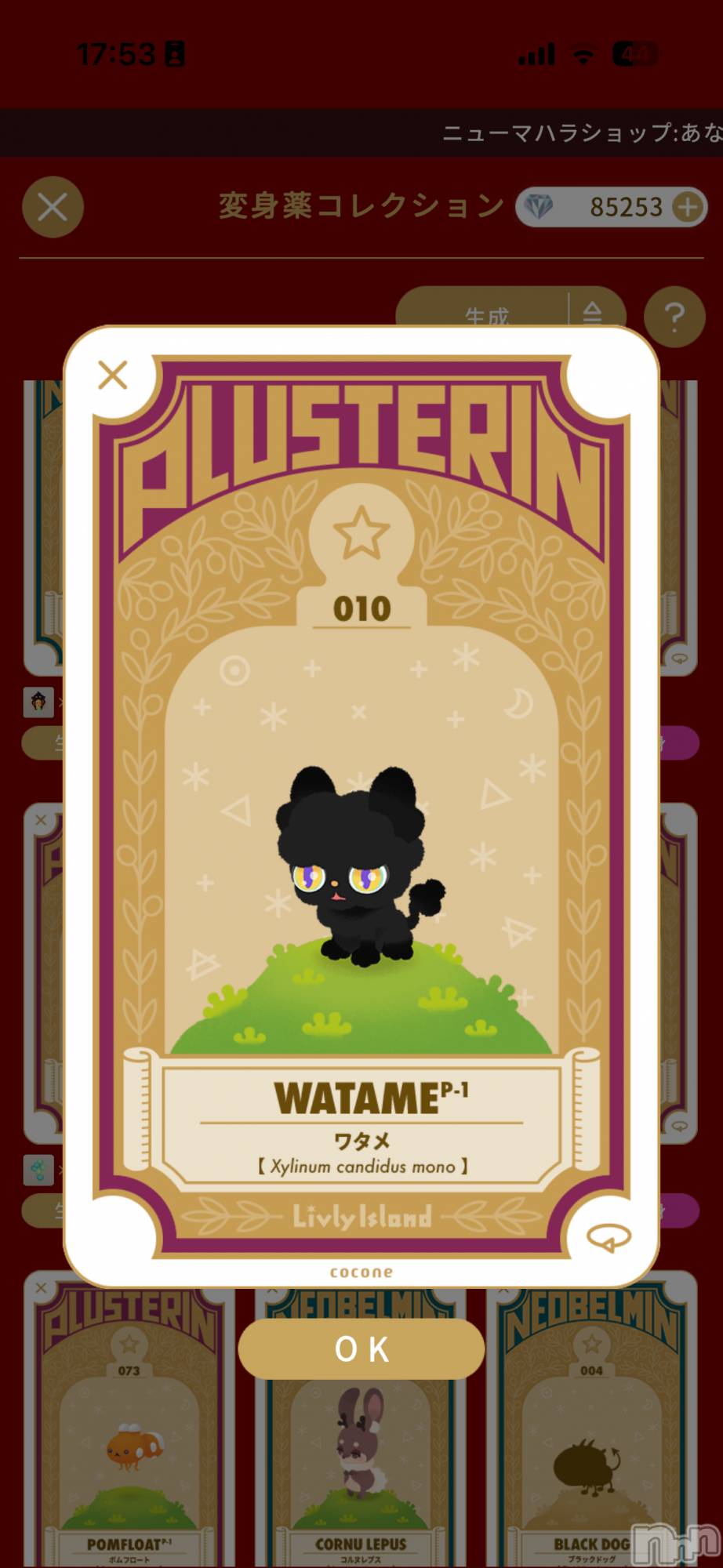 ��Į����Х��顦����֥���� �ץ���� ����(����� �ץ���� ������) ��2026ǯ1��19���̥�֥����ֿ��ù�����